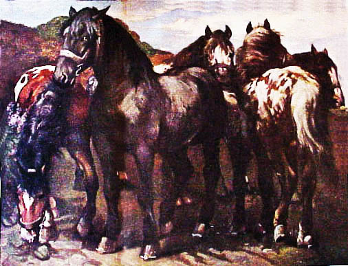 horses