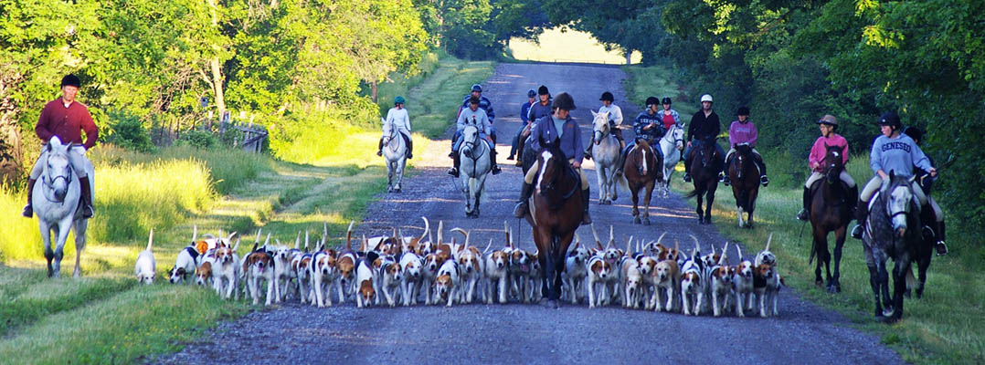 riders and hounds