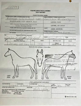 Coggins Test