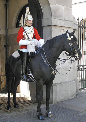horse guard