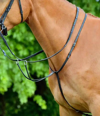 Running Martingale