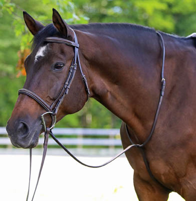 Standing Martingale