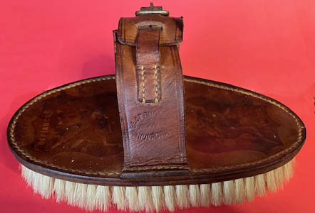 body brush