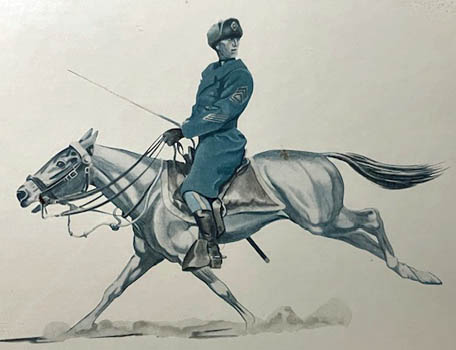 horse marine