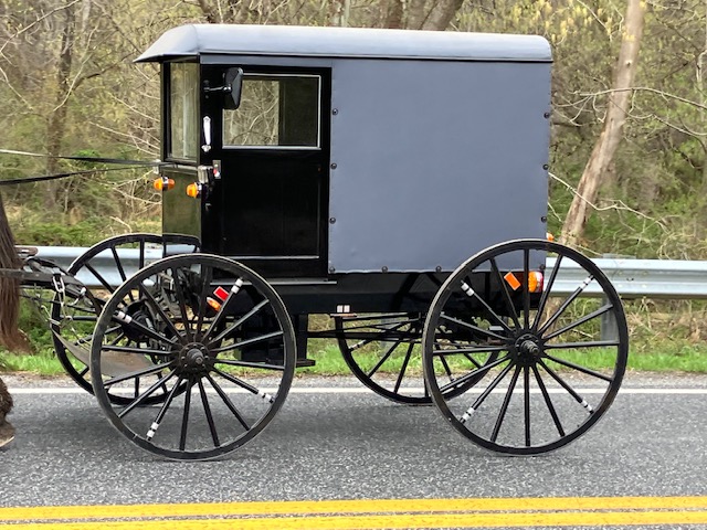 buggy